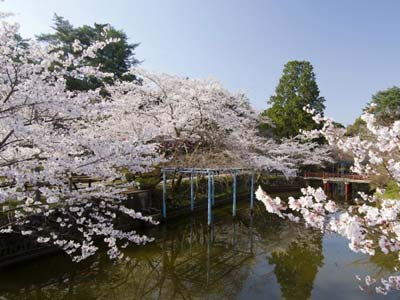 津偕楽公園