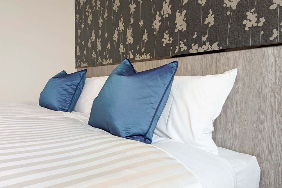 ハリウッドツイン